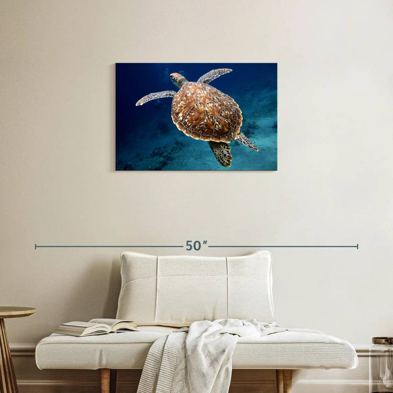 Brampt Swimming Turtle, 20" H x 30" W