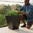 Large Flower Pot Planter Box
