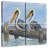 Brampt Pelicans On Deck-109097247