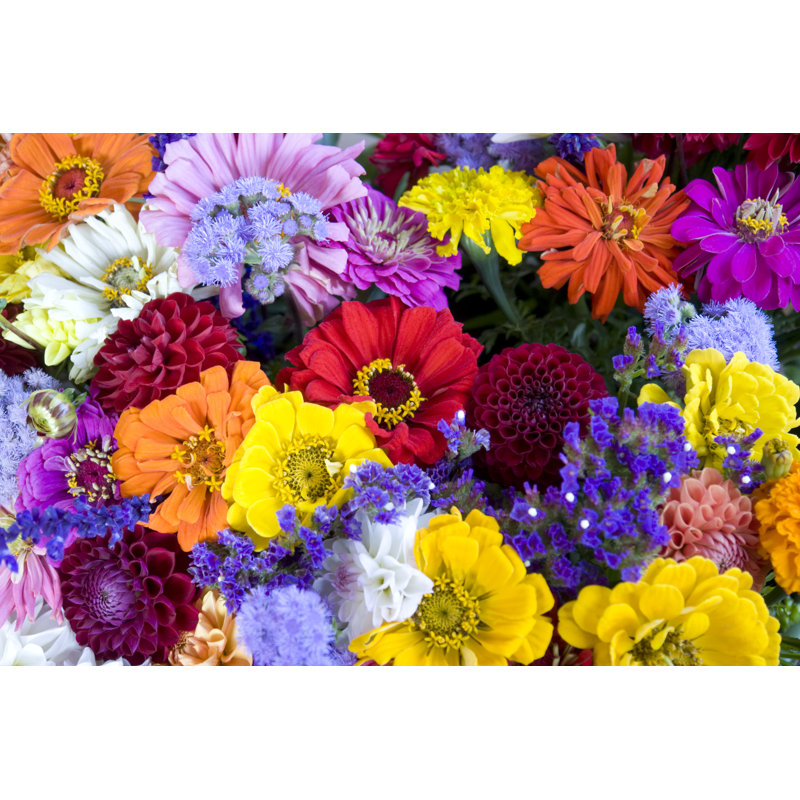 Colorful Bunch Of Flowers And Bees by Prill - Wrapped Canvas Print, 51cm H x 76cm W x 3.8cm D