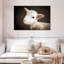 Brampt Baby Sheep-108877822