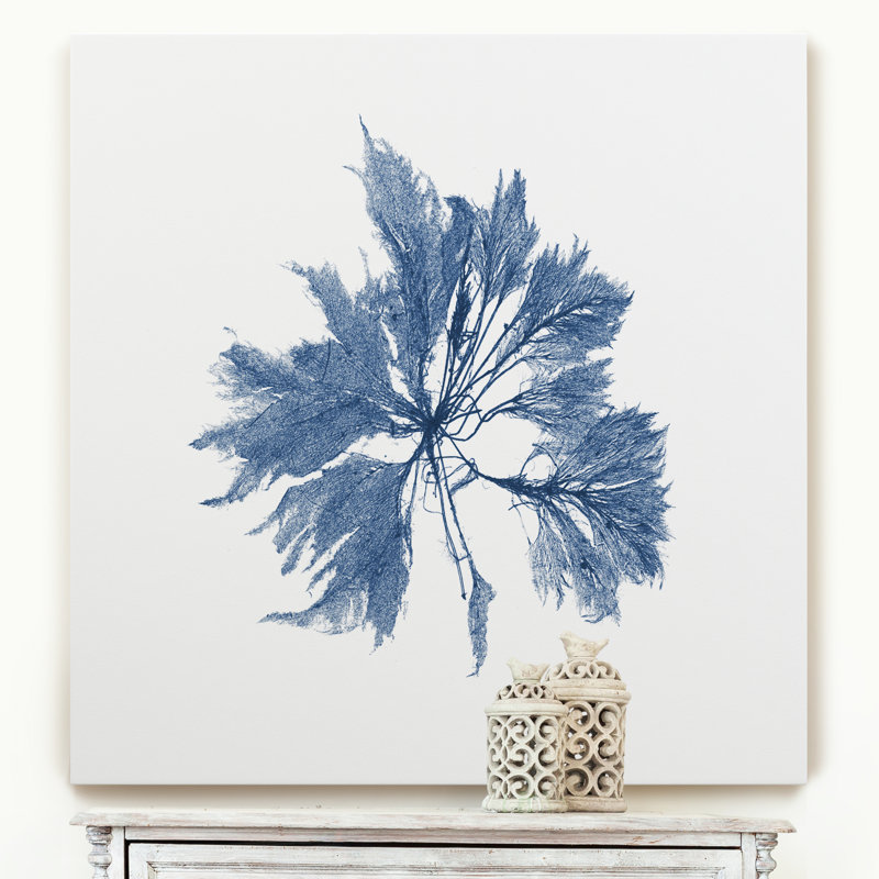 Marine Seaweed I - cadre photo, reproduction d'art sur toile, H 10 po x l 10 po x P 1,5 po, Toile tendue