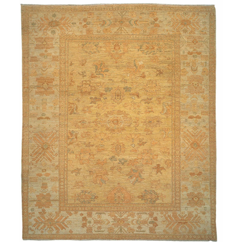 Gharni One-of-a-Kind 9' X 12' Area Rug