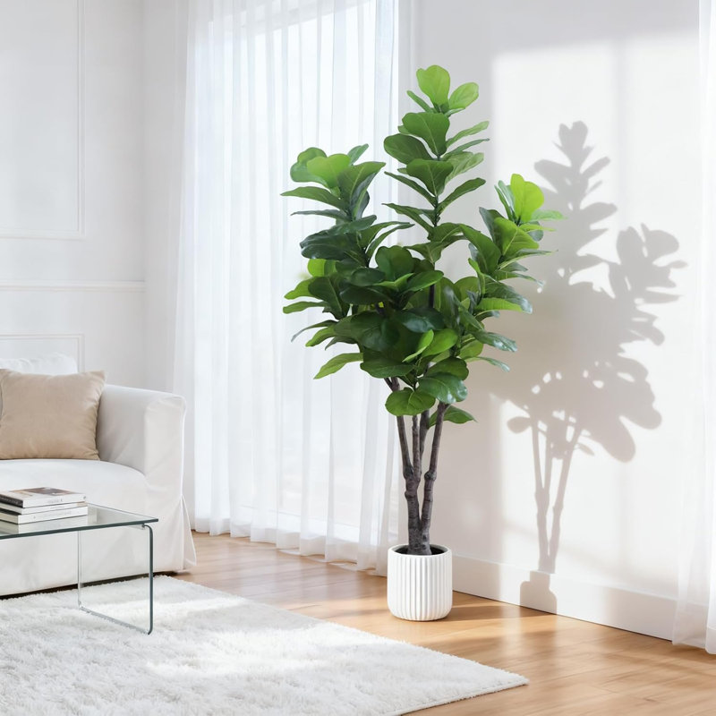 72cm Plant