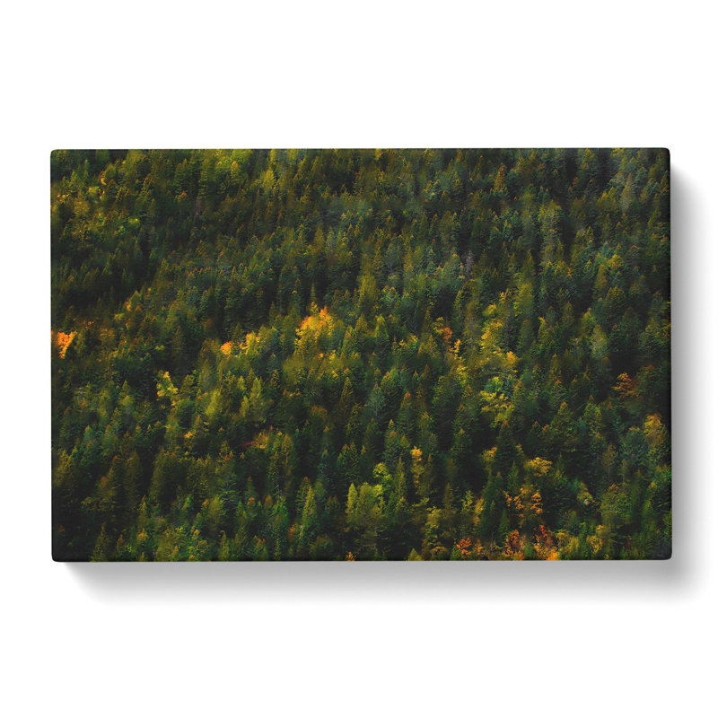 Autumn Forest In Switzerland - Wrapped Canvas Painting, 60cm H x 91cm W x 3cm D
