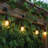302'' String Lights
