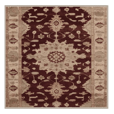 Machine Washable Overdyed Brown Area Rug