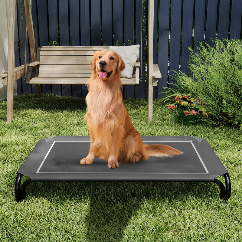 Lit pour chien surélevé intérieur / extérieur avec pieds antidérapants, H 7,9 po x l 43,3 po x P 31,9 po, Gris