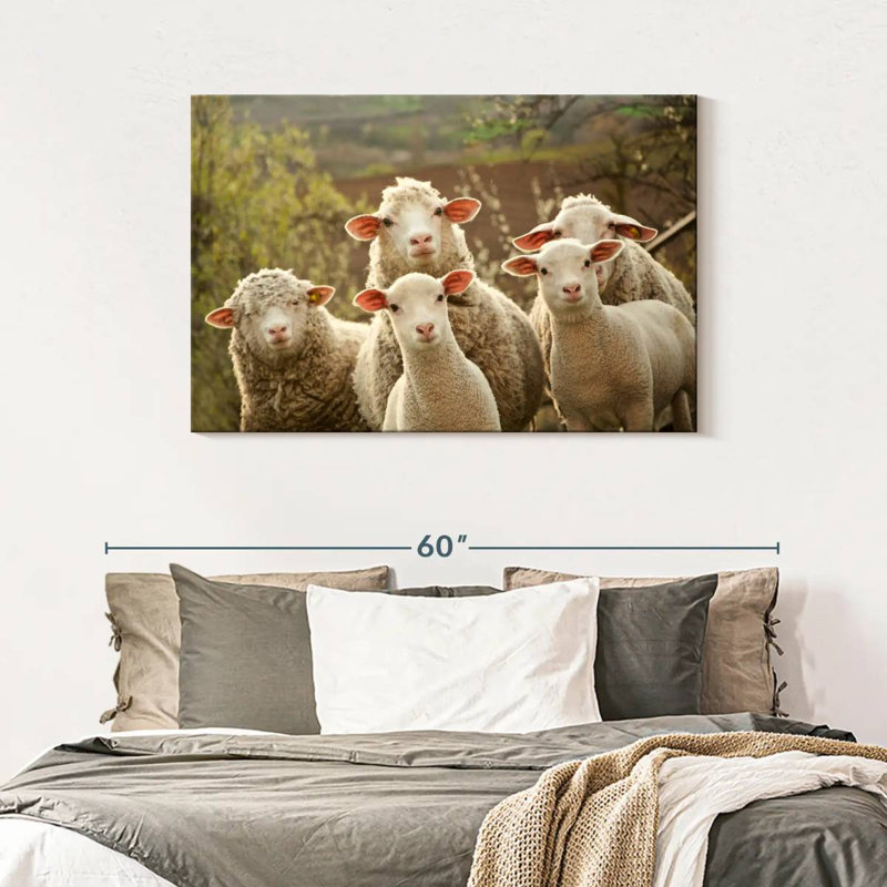 Stunned Sheep, 30" H x 45" W