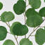 Branche d'eucalyptus artificiel vert Audet (1 tige)