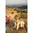 Pumpkin Tablecloth-15216669-124549400