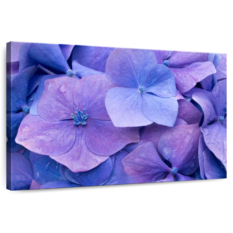 Harnek Purple Hydrangeas