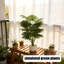 Artificial Plant Tropical Tree, White Flower Pot Artificial Tree, Artificial Tree Home Office Living Room Farmhouse Modern Decorative Tree, No Watering Living Room Artificial Tree