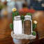 Ensemble de salière et poivrière en résine Southwestern Cactus