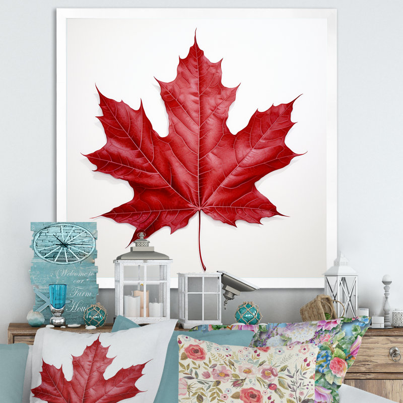 «Scarlet Maple Leaf Simplicity I», reproduction d'art sur toile encadrée, Cadre simple blanc, H 16 po x l 16 po x P 1 po