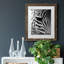 Zebra Colt - Photographie avec cadre photo-1635737486-1635583822