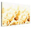 Bed Of Roses - Print on Canvas-1051721394