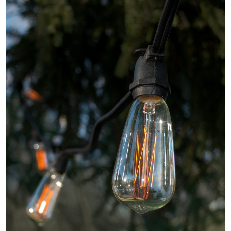 Commercial Edison String Lights Outdoor Plug-in String Light, 1200" L, Black