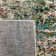 Madison Abstract Area Rug