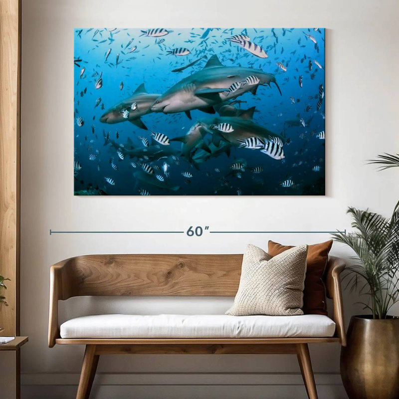 Aletra Beqa Lagoon Sharks, 34" H x 51" W