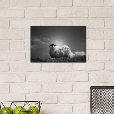 Le Fluff by Dorit Fuhg - Wrapped Canvas Print