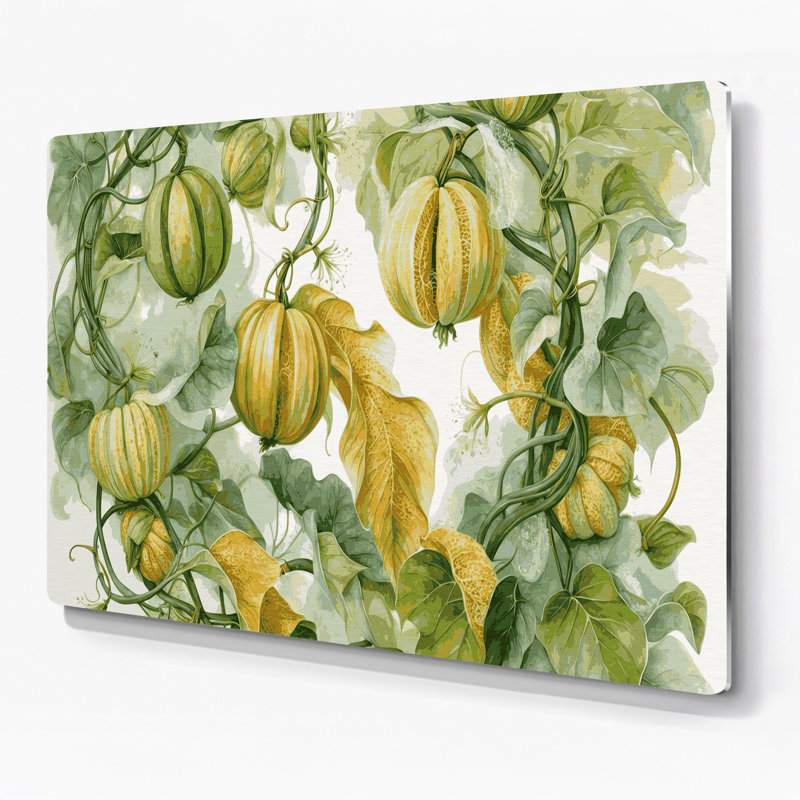 Légumes, art mural vert Luffa Luffa, H 16 po x l 20 po