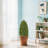 35.4" Artificial Boxwood Cone Tree 2pcs/set