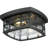 Cayman 2 - Bulb Outdoor Flush Mount-5767692
