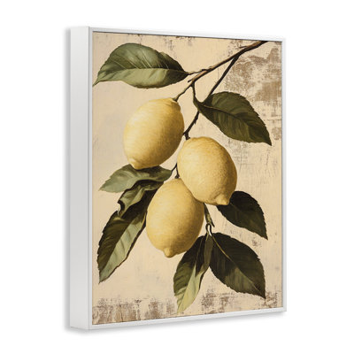 Récolte de citrons sur vigne, art par Franklyn Gregory