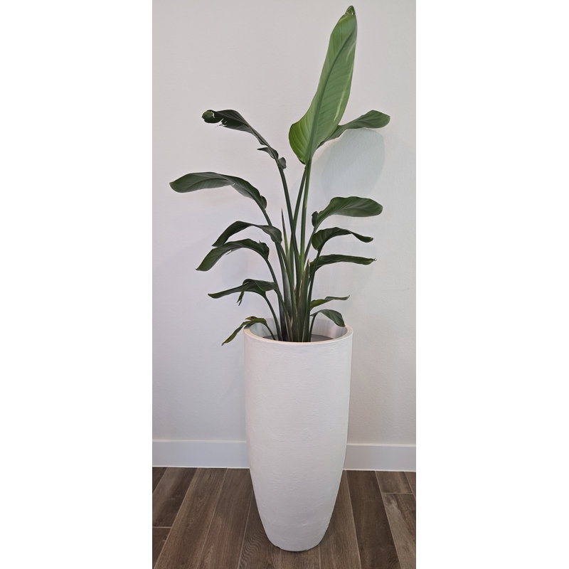  Blanc grand, H 34 po x l 16 po x P 16 po, Blanc