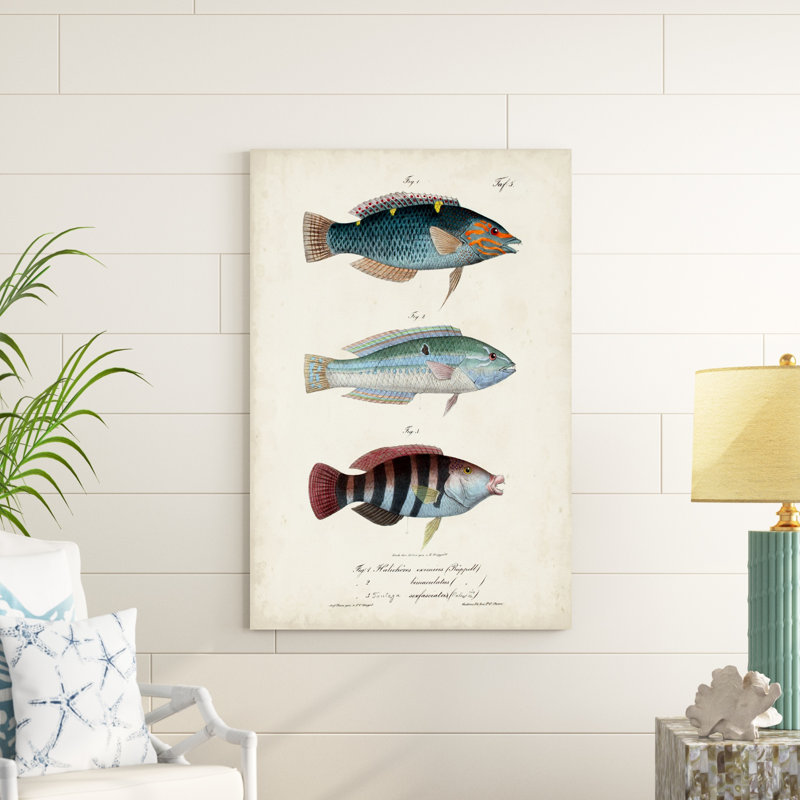 " Antique Fish Trio III ", 48" H x 32" W x 1.25" D