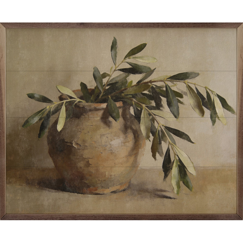Olive Branches In An Earthen Vase, 20x16