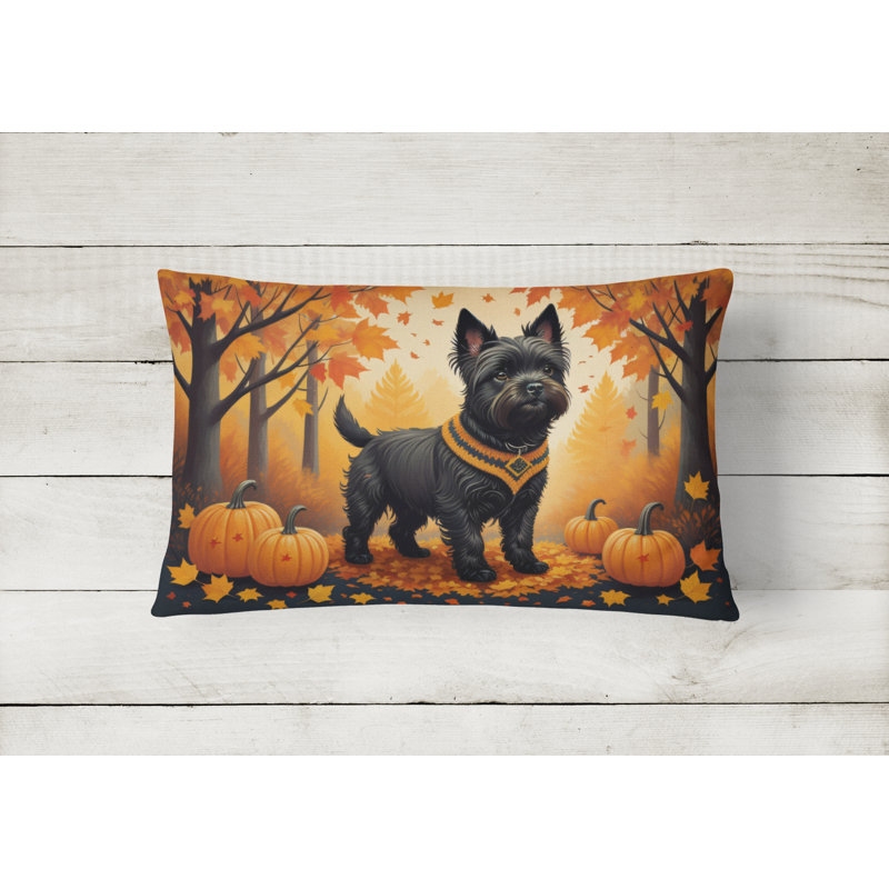 Other/No Pattern Outdoor Throw Pillow