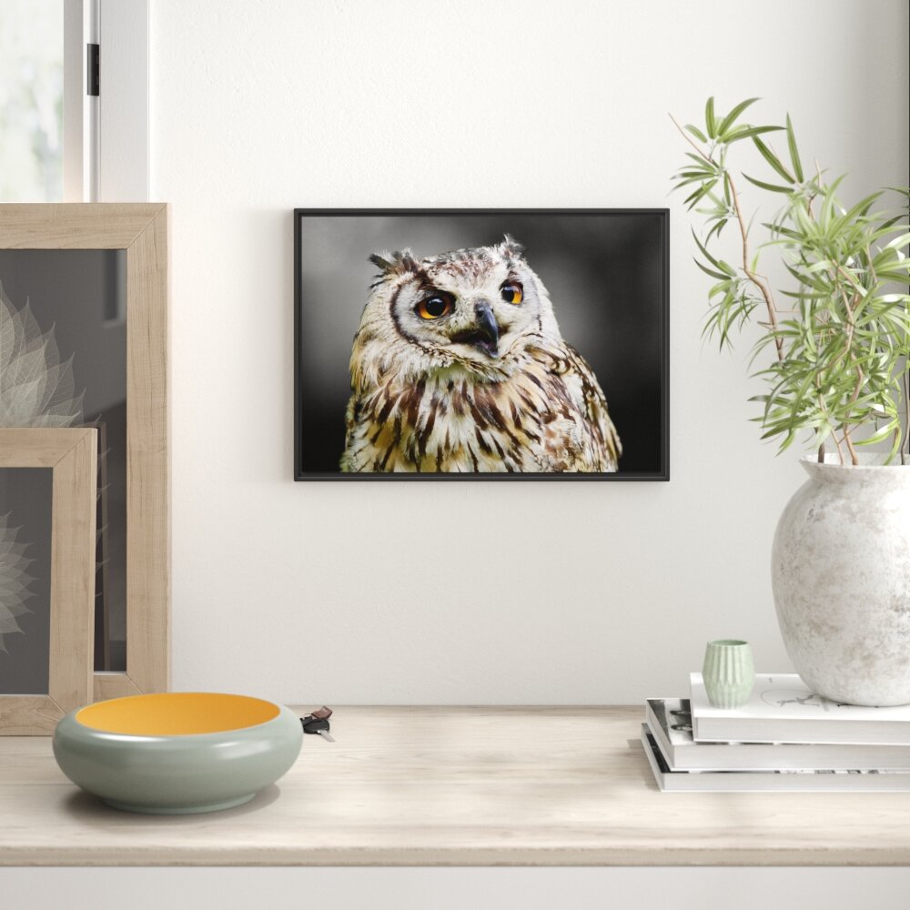 Gerahmter Fotodruck Beautiful Wood Owl