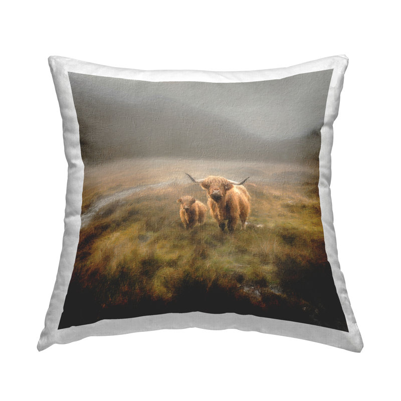 Throw Pillow