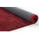 Powder Hand Woven Red Indoor Rug