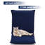 Chaise de plancher-1246582373