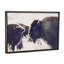 Photographie buffalo-43719317-43719323