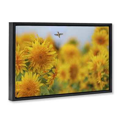 Cadre flottant Happy Colibri et tournesols, design par Carrie Ann Grippo-Pike