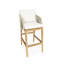 Amadora Outdoor Teak Bar Stool-580460311