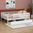 Sherilynn Daybed-816256255-816256254