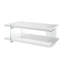 Felecia Sled Coffee Table with Storage