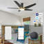 52'' Ceiling Fan with LED Lights-821294354