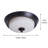 Darryus 2-Light Simple Round Ceiling Lamp