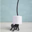Toilet Paper Holder