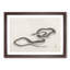 Snake by Kono Bairei - Picture Frame Painting Print-55725929-55725926