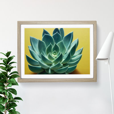 Splendorous Succulent Plant - Framed Print