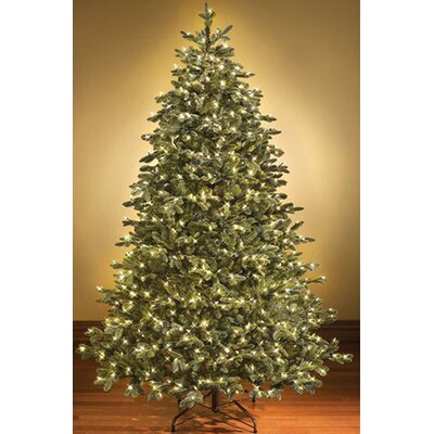 7.5' Green Pine Artificial Christmas Tree with 800 White Lights -  The Holiday Aisle®, 310FC7C962BB4DD884E4B756F56FC439