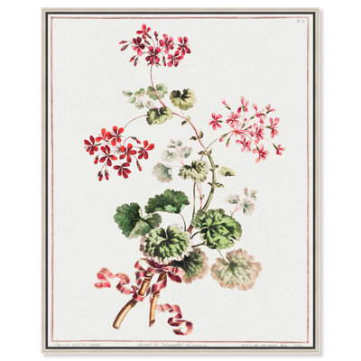 Toile «Carlet Variegated Geranium 1801» par Art Remedy