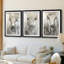 ANIMALS Series Cxxxx - Impression encadrée sur mesure de qualité supérieure - 3 pièces-421047056-421047058
